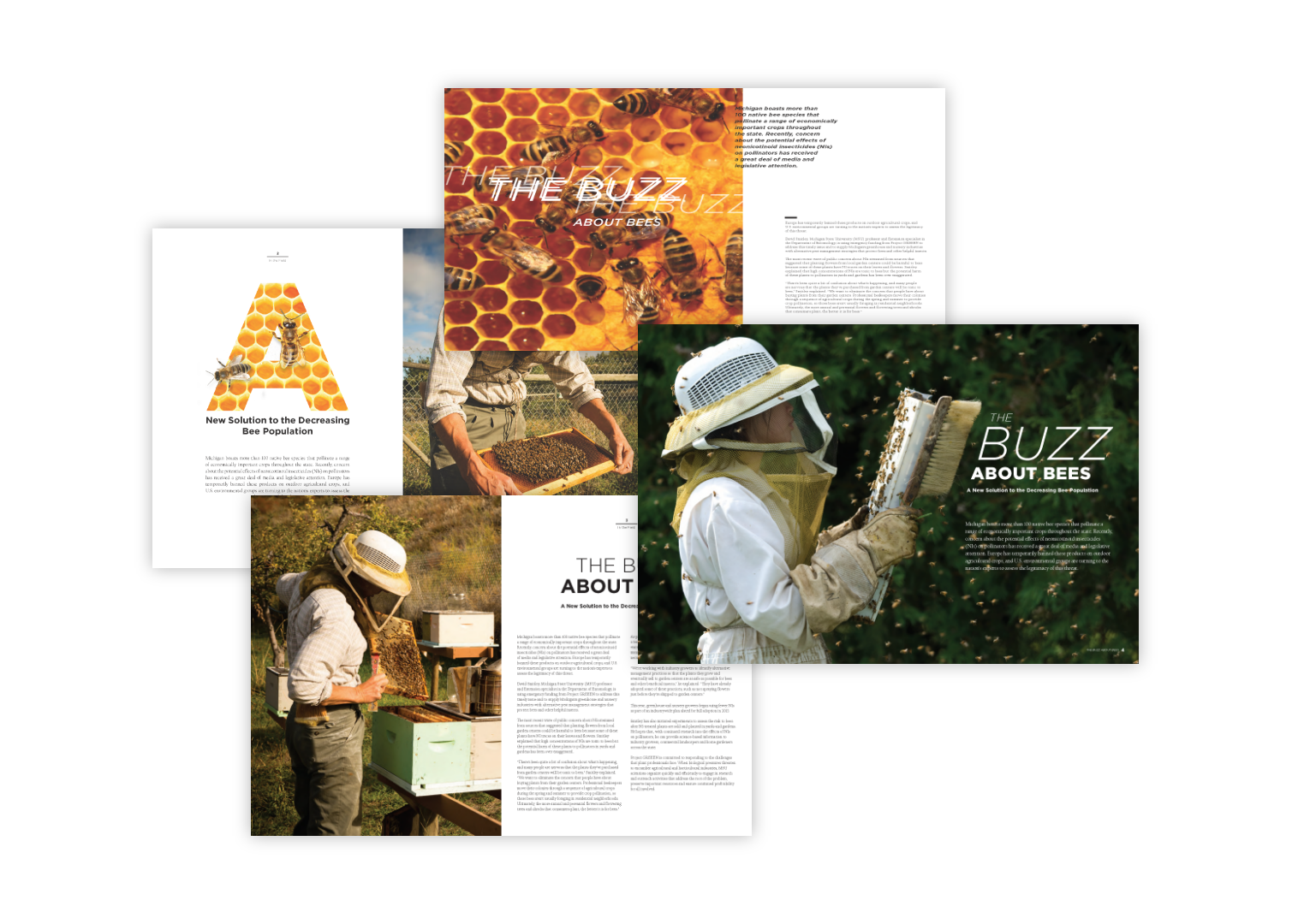 An image of in progress magazine spreads for In the Field magazine, a publication that showcases the work of students and alumni in the College of Agriculture and Natural Resources at Michigan State University.